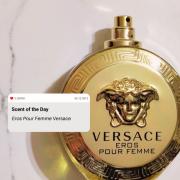koppeling nadering Van toepassing zijn Eros Pour Femme Versace perfume - a fragrance for women 2014