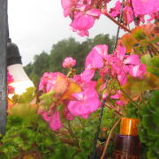 Photo by Vibia Sabina