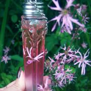 Photo by Engel desTodes