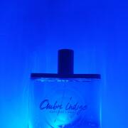 Photo by Amir.Alvani123