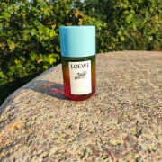 Paula's Ibiza Loewe perfume - a fragrance for women and men 2020