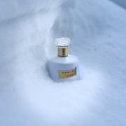 Photo by Ольфакторная нота грача