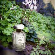 Photo by Лейка@@@