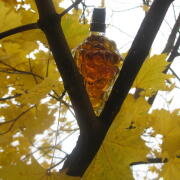 Photo by Vibia Sabina