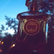 Photo by startfromthemarch