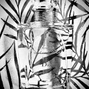 Les Creations de Monsieur Dior Forever and Ever Dior perfume