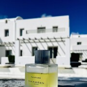 Fanfare Thameen perfume - a fragrance for women and men 2023