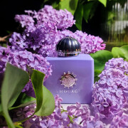 Lilac Love Amouage perfume - a fragrance for women 2016