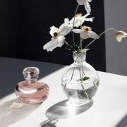 Lily Absolu O Boticário perfume - a fragrance for women 2020