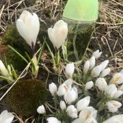 Photo by Люпита