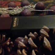 quorum perfume review