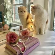 Photo by gourmandgoddess1993