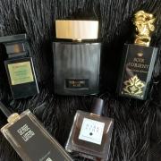 The dark 2025 side fragrantica