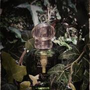 Tendre Poison Dior perfume - a fragrance for women 1994