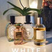 Louis Vuitton Sur La Route EDP – The Fragrance Decant Boutique™