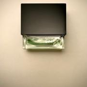 gucci envy fragrantica