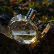 HERMES BARÉNIA ユニセックス香水　100ml 楽天市場】HERMES エルメス BARENIA バレニア オードパルファム