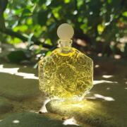 Photo by Loyshamarina