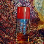 opium perfume fragrantica