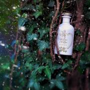 。グッチ　The eyes of the tiger 100ml 香水 ② グッチ The eyes of the tiger 100ml 香水 ②