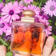 24 Faubourg Hermès 香水- 一款1995年女用香水