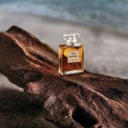 Chanel No 5 Eau de Parfum Chanel perfume - a fragrance for