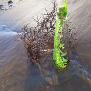 Photo by Poison Girl