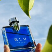 BLV Pour Homme Bvlgari kolonya - erkekler için bir koku 2001