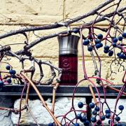 Ile Pourpre Perfume | Liquides Imaginaires