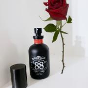 Photo by SalivatingSoul-stice