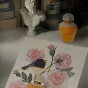 Photo by Лейка@@@