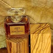 Photo by Fede Besanzoni