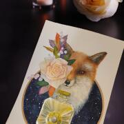 Photo by Лейка@@@