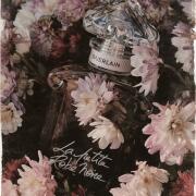 La Petite Robe Noire Guerlain perfume - a fragrance for women 2012