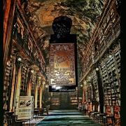 Photo by laurentiurobert529