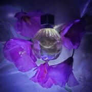 Photo by fabrice1977