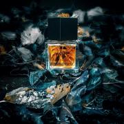 M7 Yves Saint Laurent cologne - a fragrance for men 2002