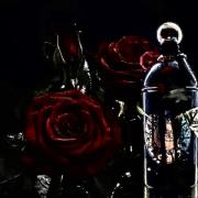 Photo by mariandevadas