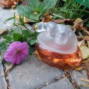 Photo by Корица1970