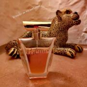 Photo by Perla Vencis