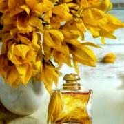 24 Faubourg Hermès perfume - a fragrance for women 1995