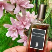 Perfume Review - Serge Lutens Tubéreuse Criminelle: Genius but not  Felonious. – Kafkaesque