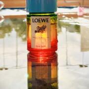 その他 LOEWE Paula's Ibiza edt LOEWE Paula's Ibiza Eau de Toilette | Holt Renfrew