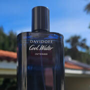 Cool Water Intense Davidoff cologne - a fragrance for men 2019