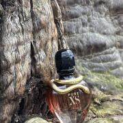 Photo by Yellow Pollen