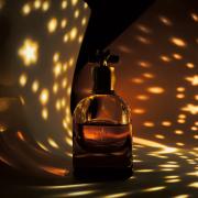 Knot Eau Absolue Bottega Veneta perfume - a fragrância