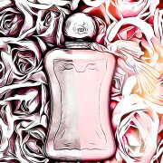 Delina Parfums de Marly perfume - a fragrance for women 2017