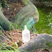 Photo by TatianaChoco