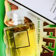 Chanel No 19 Poudre Chanel perfume - a 