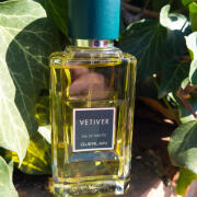 Amazon.com : Guerlain Vetiver by Guerlain Edt Spray 3.4 Oz